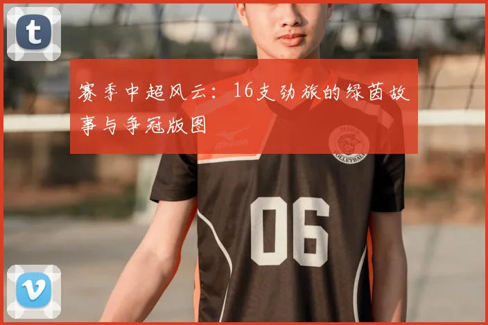 赛季中超风云：16支劲旅的绿茵故事与争冠版图