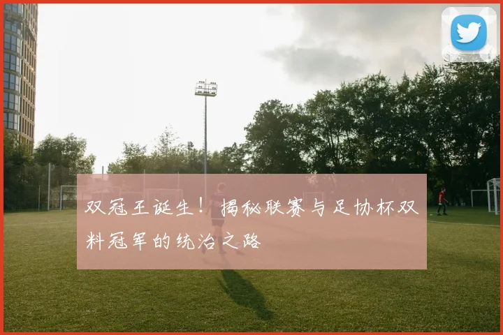 双冠王诞生!揭秘联赛与足协杯双料冠军的统治之路